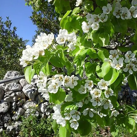 Monte Criscione Alloggio per agriturismo Avola